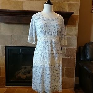 While lace with blue underlay dress